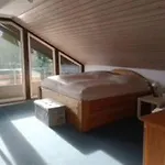Ferienhaus Kirschblüte In Im Harz *