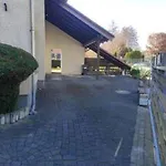 Kirschblüte In Im Harz Ferienhaus *