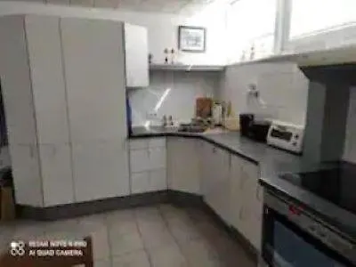 Kirschbluete In Im Harz