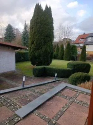 Kirschbluete In Im Harz