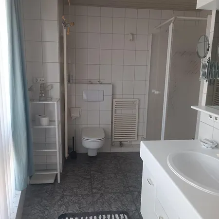 Kirschbluete In Im Harz Wolfshagen (Lower-Saxony)